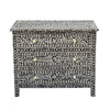 MOTHER OF PEARL MONOCHROME CHEST OF DRAWS Coffee table Philbee Interiors 