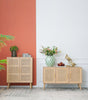 TWO DOOR RATTAN CABINET Philbee Interiors 